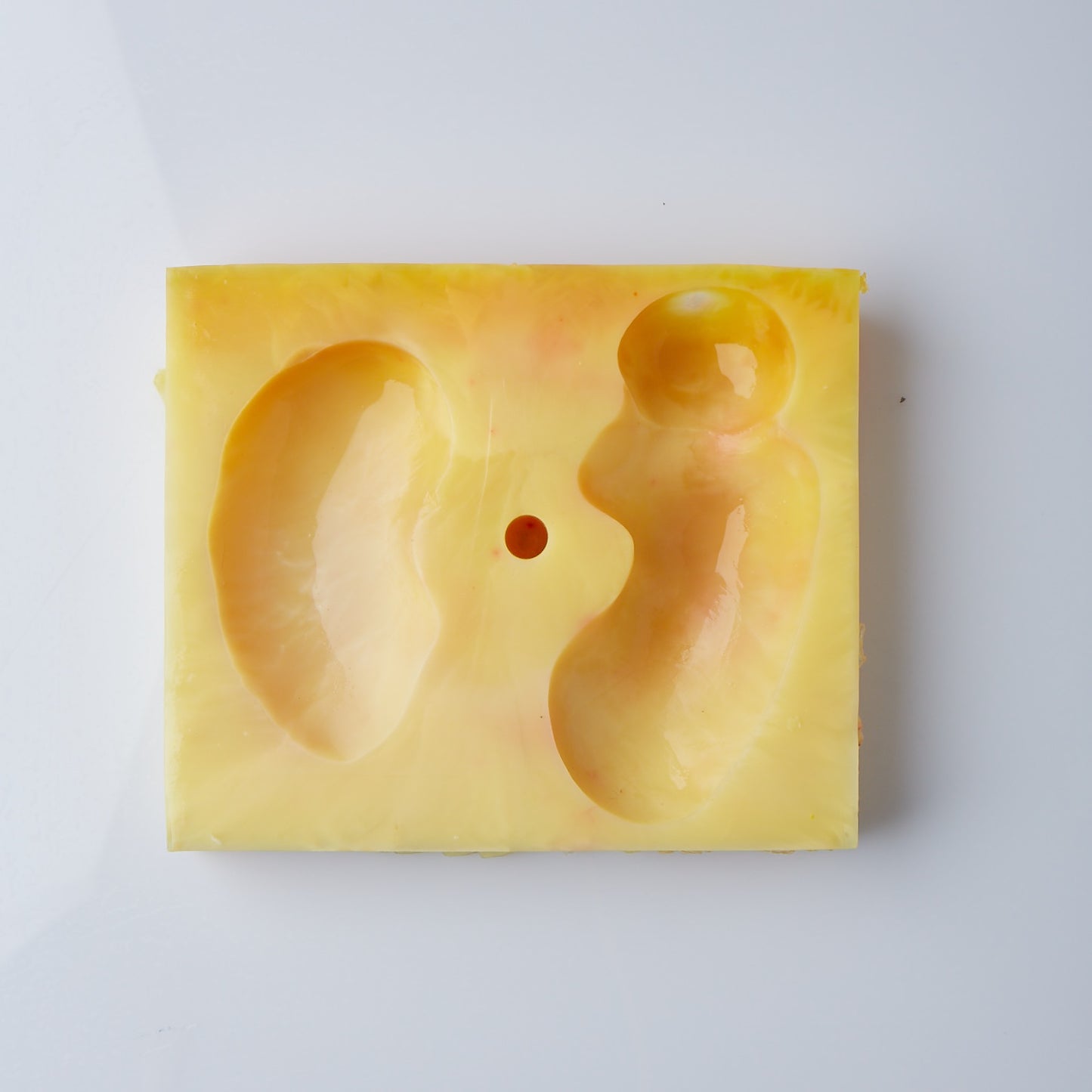 Partial Neph Base (Class I)