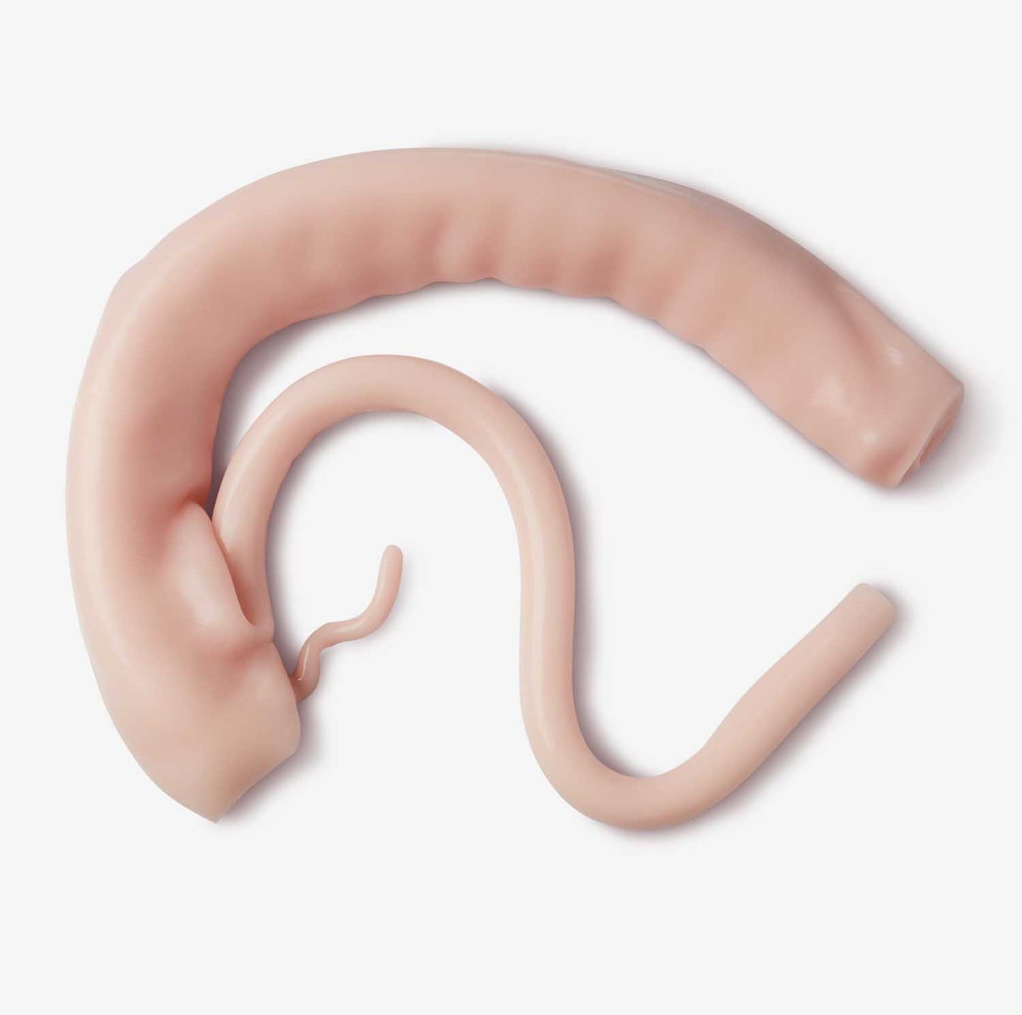 Hydrogel Surgical Training Model - Right Hemicolectomy (Class II)