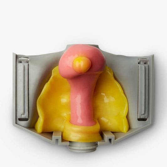 Myomectomy (Class II) - Hydrogel Surgical Training Model