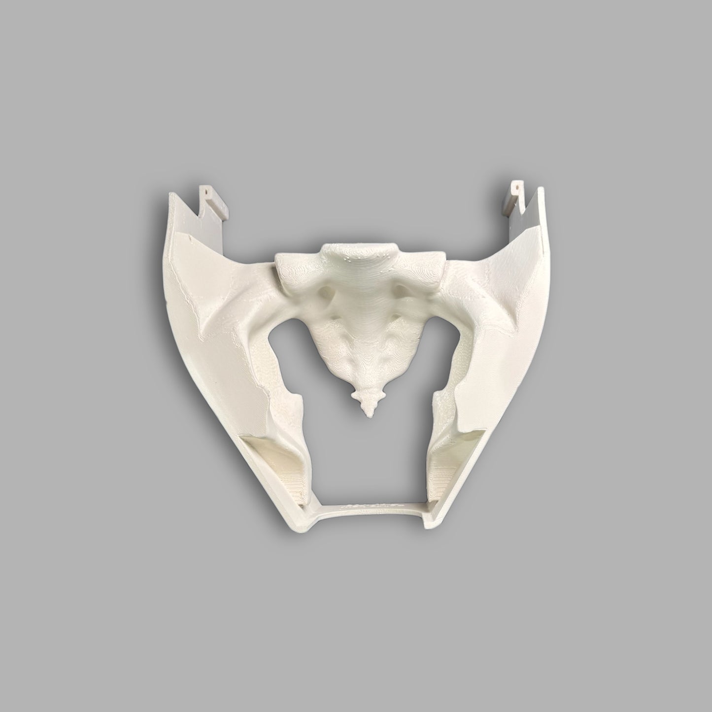 Male Pelvic Stand - Surgical Training Model Stand