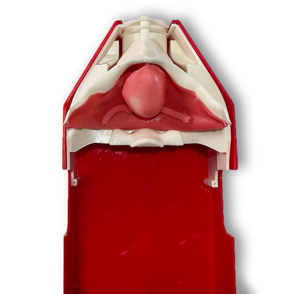 Hydrogel Surgical Training Model - Vesicourethral Anastomosis (UVA) Class III