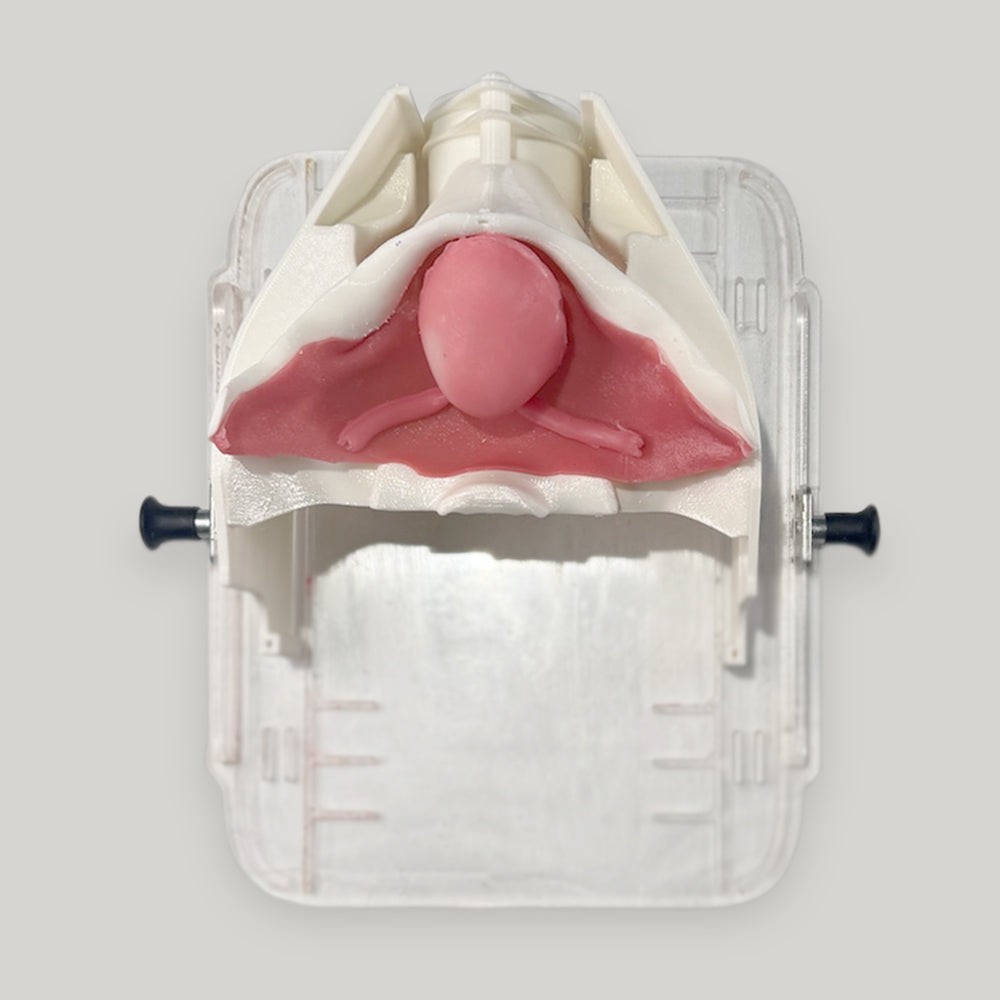 Hydrogel Surgical Training Model - Vesicourethral Anastomosis (UVA) Class III