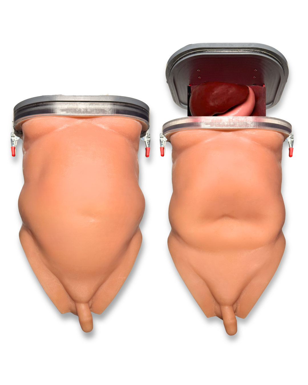 Torso Trainers
