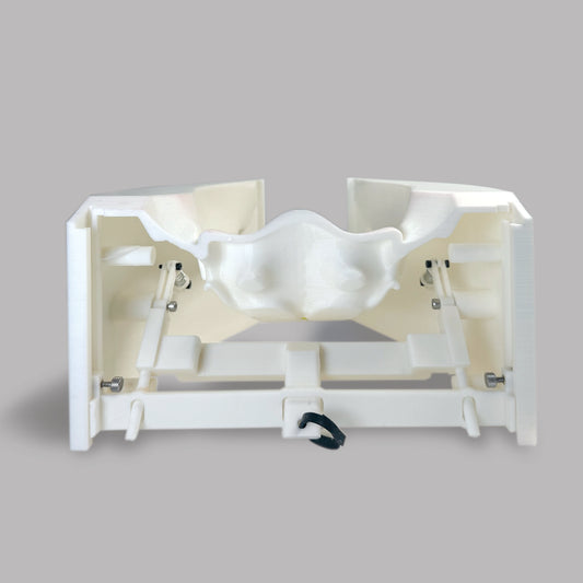 Male Pelvic Stand - Surgical Training Model Stand