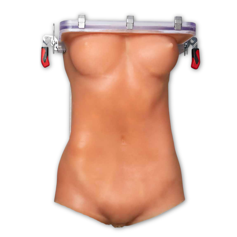 Female Torso