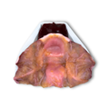 Prostate (Class V)